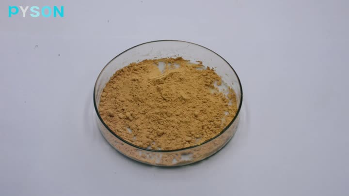 6 silybine et isosilybine 30% hplc 45%