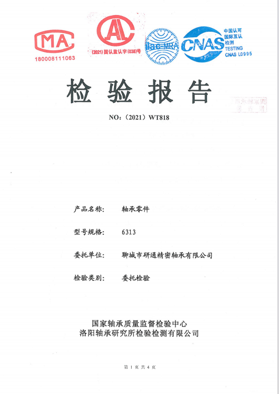 Inspection Report