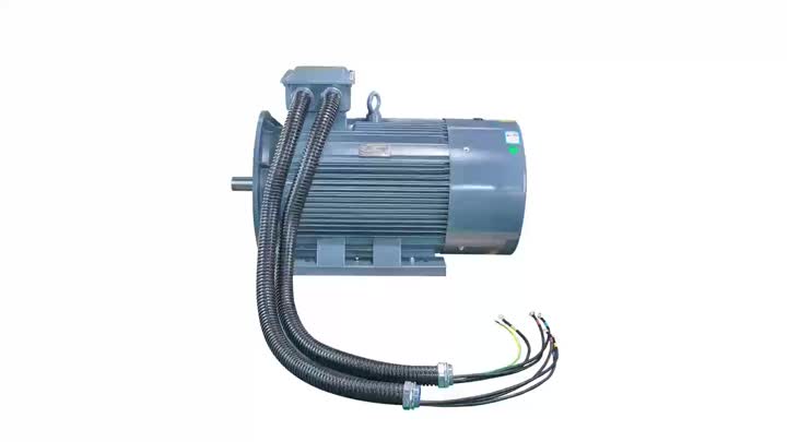 Compression induction motor