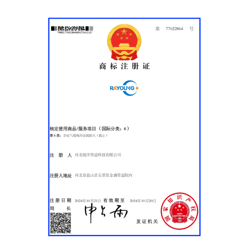 Захватывающие новости от Hebei Rayoung Pipeline Technology Co., Ltd.!