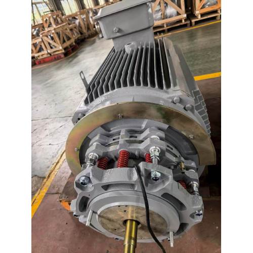 Moteur de levage de grue à tour avec frein 4500N/M