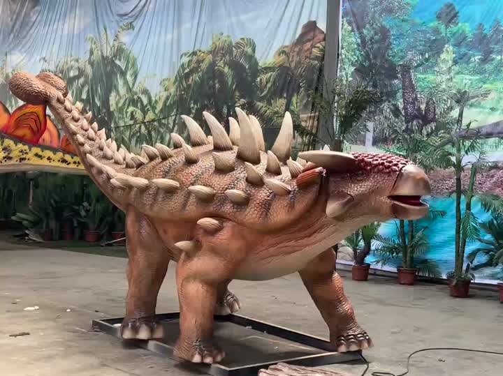 Baotousaurus Video