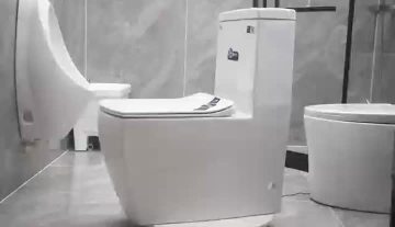 white toilet