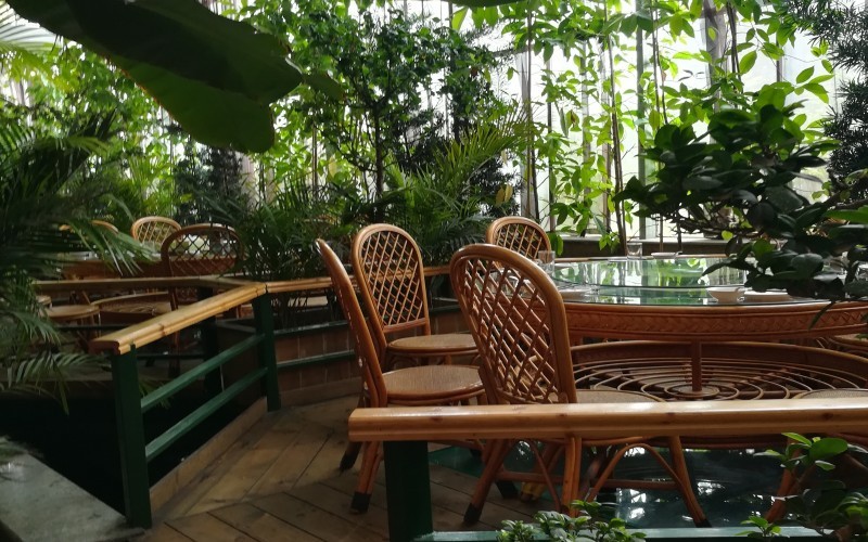 مطعم بيئي دفيئة