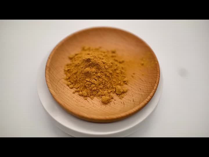 Kiwi Fruit Powder (1)