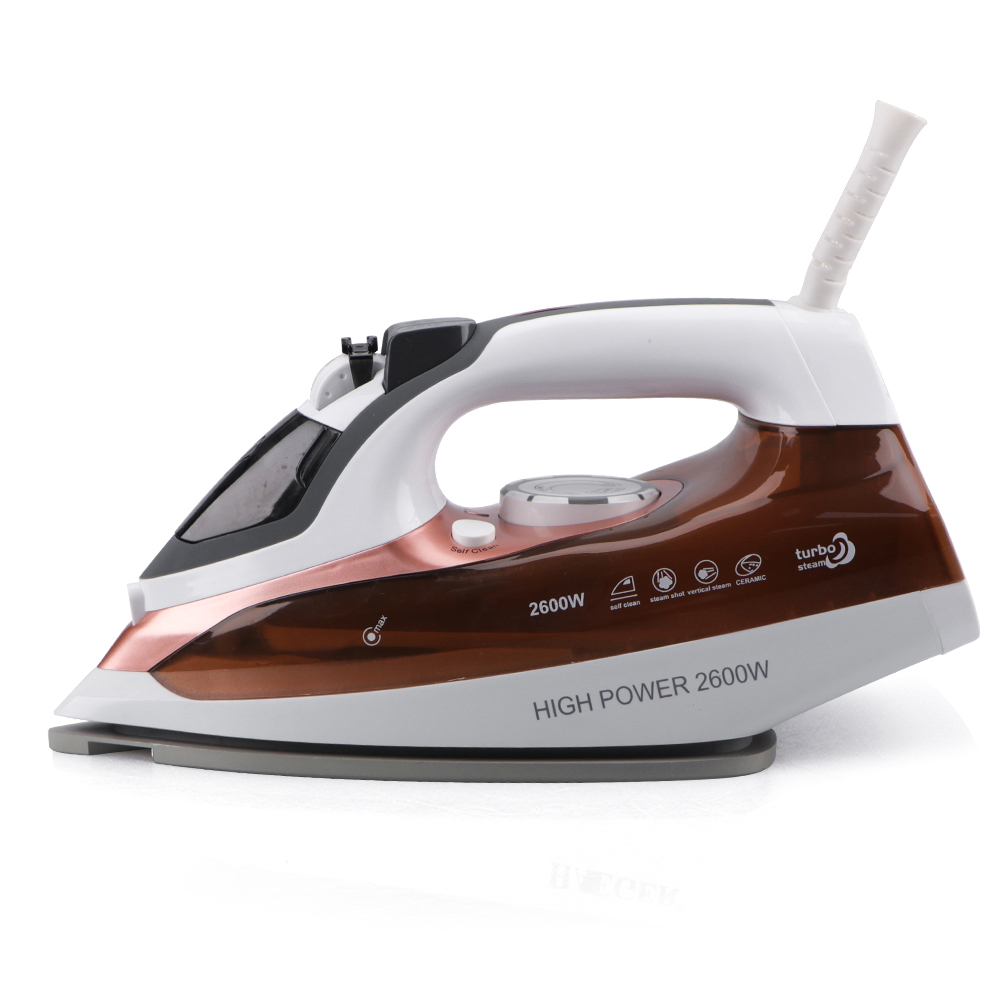 Steam Iron R.1243