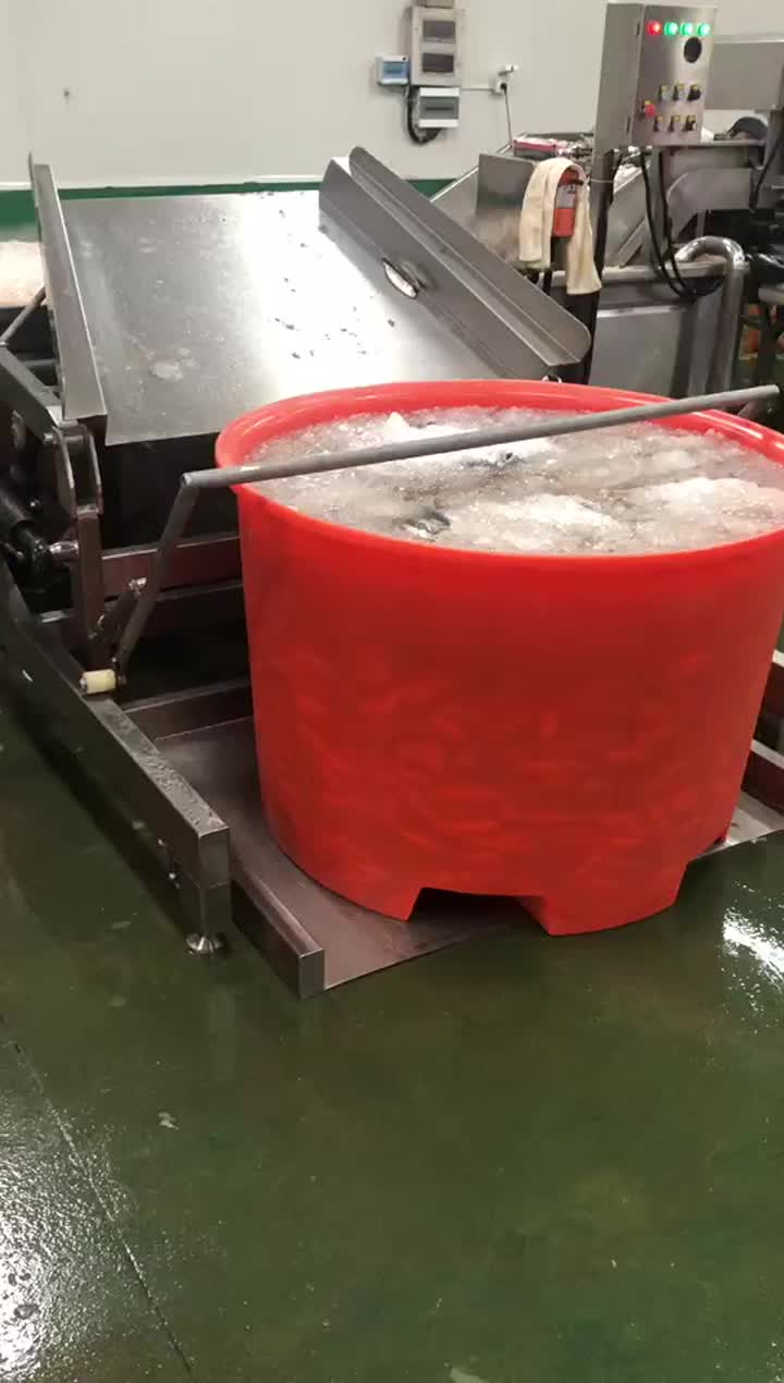 fish production line