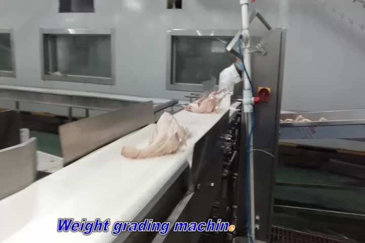 Weight grading machine_03