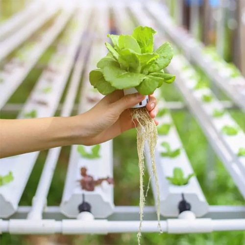 Hydroponics tube