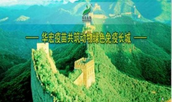HUAHONG