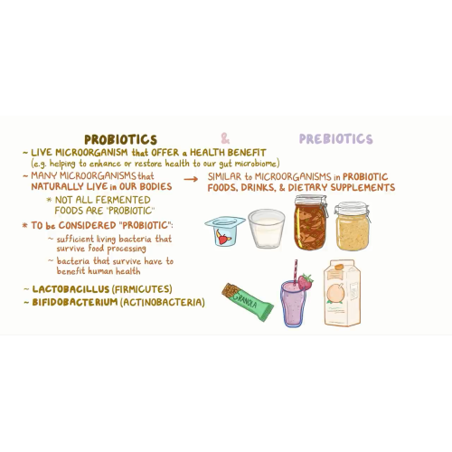 Prebiotics & probiotics