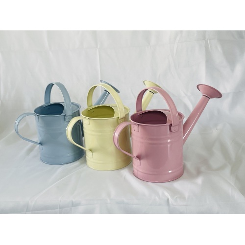 Metal Watering Can