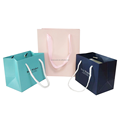 Custom Printed Paperboard Shopping Bags with PP Twisted Handles: Promoting Underwear Clothing Brands1