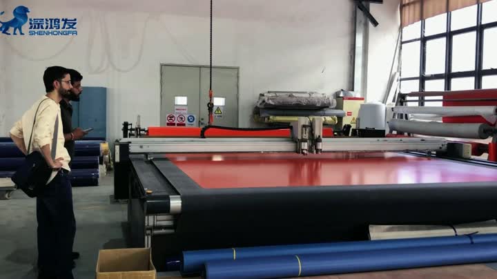 Cold storage door curtain
