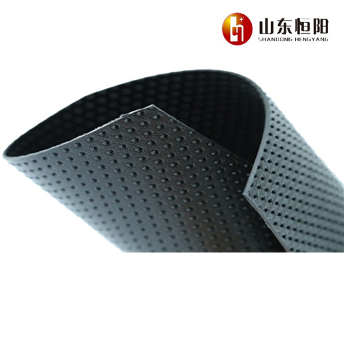 Shandong Hengyang New Materials ژئوممبران بافت‌دار HDPE را برای پروژه‌های مهندسی عمران جهانی راه‌اندازی کرد