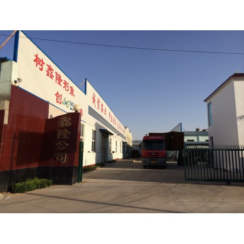 Anping Xinlong Wire Mesh Meshure Co., Ltd