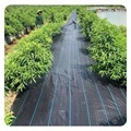 PE Woven Cloth Geotextile Fabric: An Effective Solution for Weed Control and Grass Stopping in Gardens and Ground Cover1