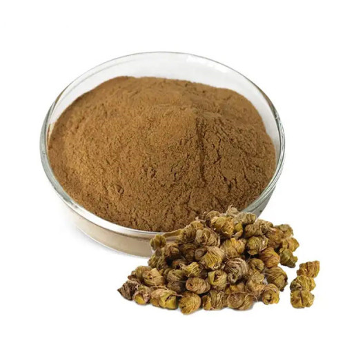 What Are The Benefits Of Dendrobium Extract? Main Application Areas?