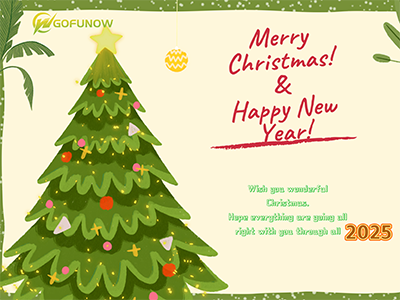 Merry Chirstmas & Happy New Year 2025