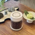 Automatic Vacuum Jar for Coffee Beans and Herbs Storage1