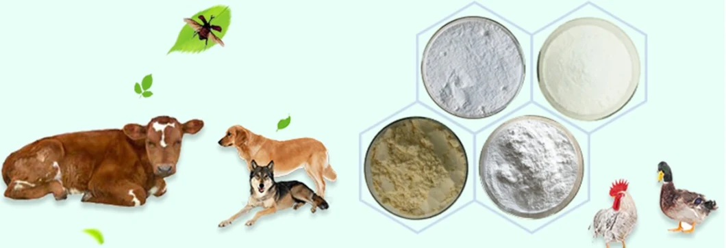 Fourniture d'usine médicament vétérinaire CAS 137330-13-3 Poudre de phosphate de tilmicosin