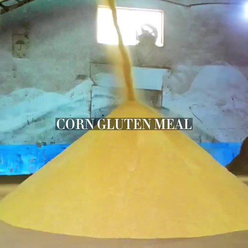 corn gluten feed