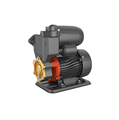 Leo LKSm-A 0.15HP 110W Stainless Steel Centrifugal Water Pump1