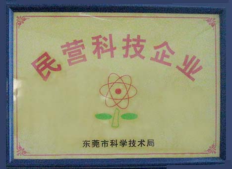 Pingxiang Chengpin Technology Co., Ltd