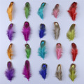 5-8cm Multi-Colored Pheasant Guinea Fowl Feather Jewelry, Crafts, and Fishing Feathers: High-Quality Materials for Creative Projects1