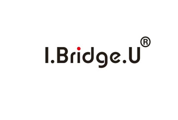 ZZ Bridge Biochem CO., Ltd.