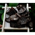 New arrival wild dried black truffle Festive & Party Supplies