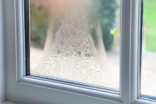 How to Get Rid of Condensation Inside Windows: Seasonal Guide