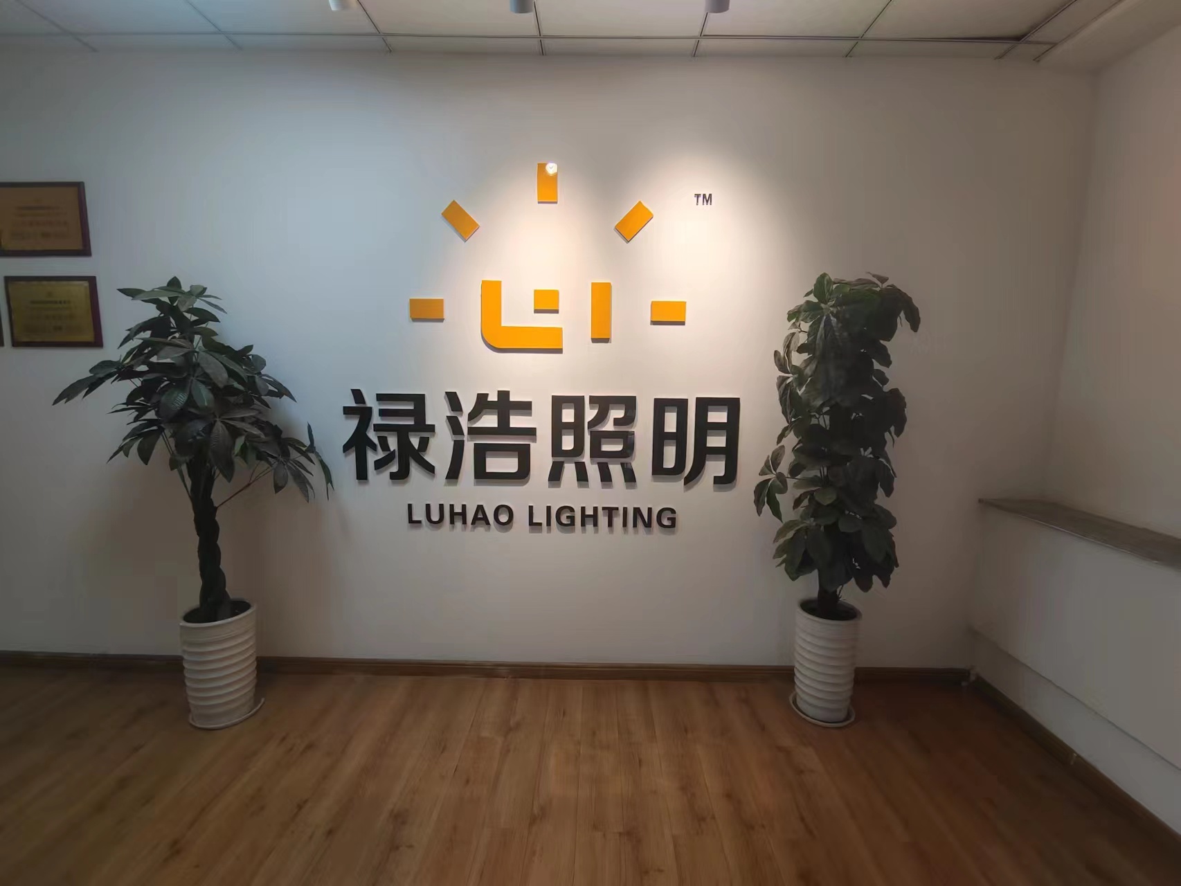Yantai LUHAO Lighting CO.,Ltd