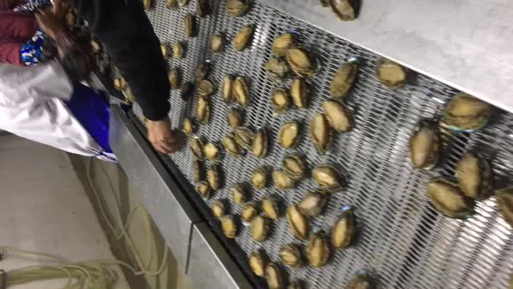 IQF Abalone Feeding