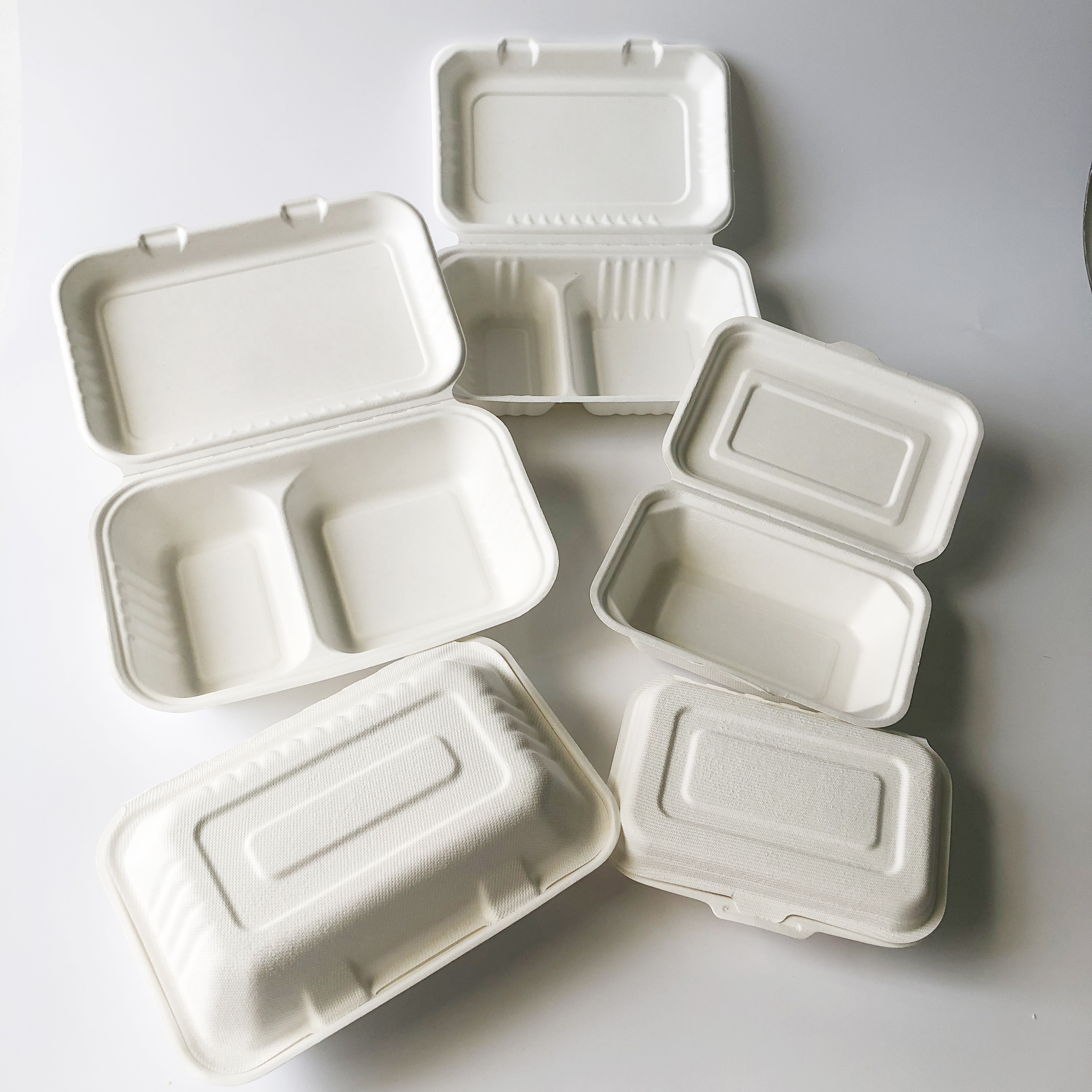 Bagasse pulp clamshell