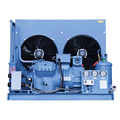 Customizable High-Temperature Compressor Air-Cooled Condensing Units from 8HP to 50HP1