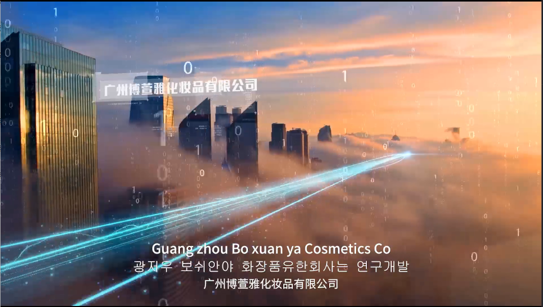 Giới thiệu công ty
