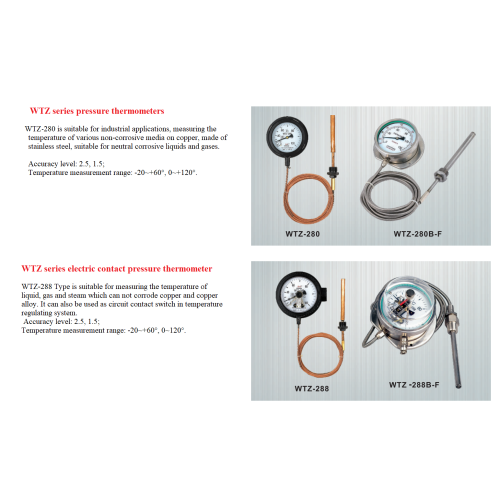 Druckthermometer vom Drucktyp zum Drucktyp