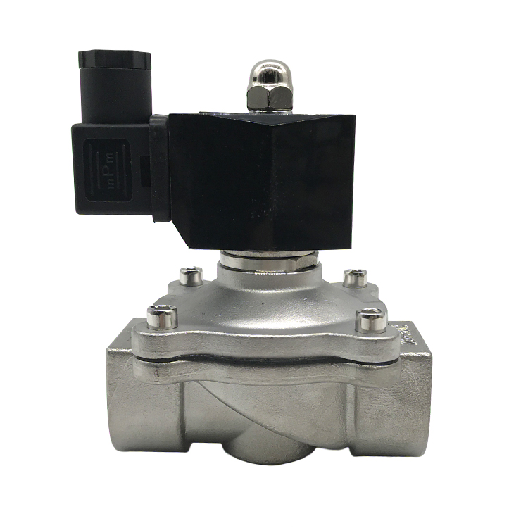 2S250-25 1'' Water Stainless Steel Solenoid Valve 12V 24V 110V 220V