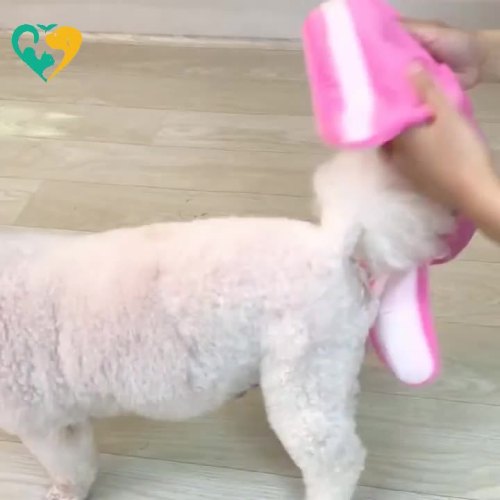 dog diaper reusable