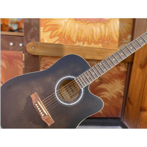 THE BEST TAYSTE ACOUSTIC GUITARS FOR BEGINNERS