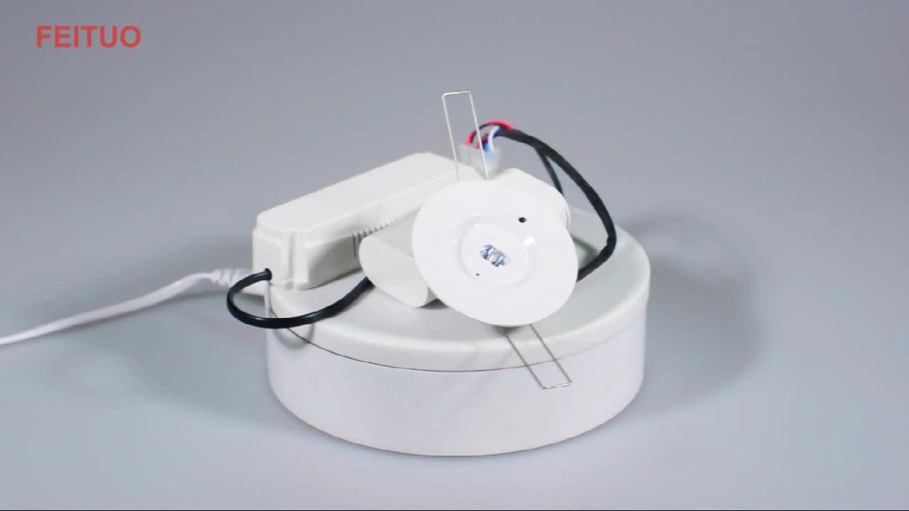 LED Notfall Down Light D40-R-2 CE ROHS CONPONHIANT1