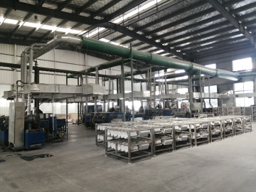 Plate formation of lead battery production process