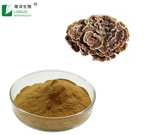 Natrual plant extract Turkey Tail Mushroom Extract Mushroom powder