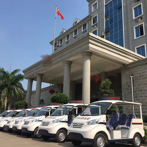 Precautions for replacing Electric Sightseeing Car batteries