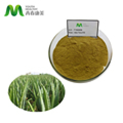 Természetes aloe vera kivonat aleo vera gél 100% tiszta aloin por1