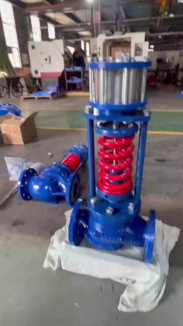 Self Operated Pressure Reducing Regulating Valve