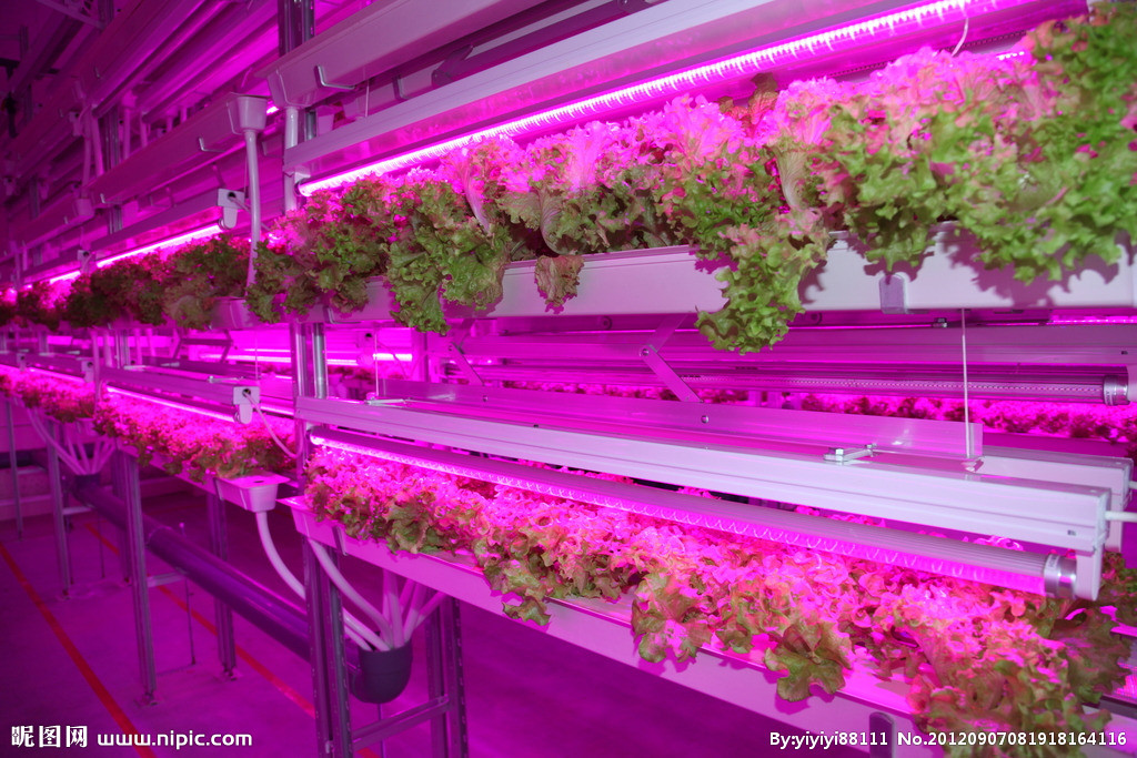 Shipping container hydroponic farm