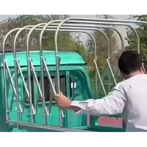 Waterproof and rainproof three wheeled vehicle with canopy