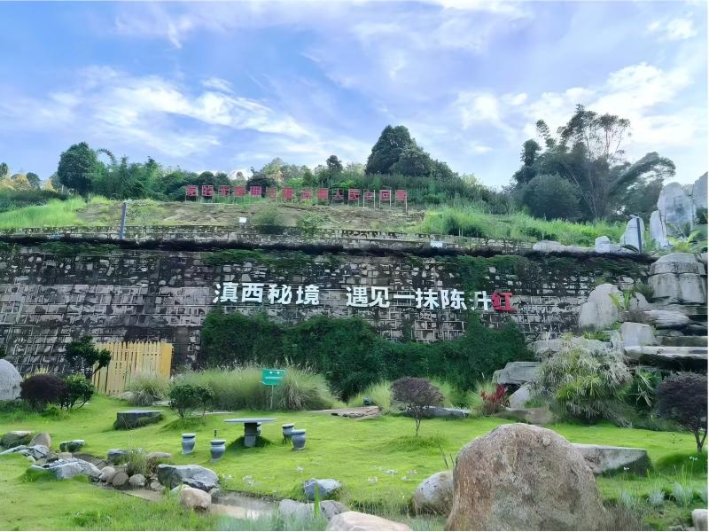 Fengqing Chenshenghong Tea Co., Ltd.